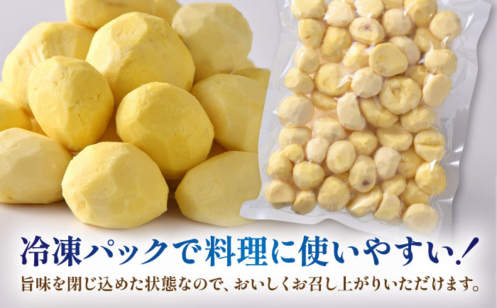 むき栗 約2kg（約1kg×2袋） 【株式会社あんず】 [ZBT015]