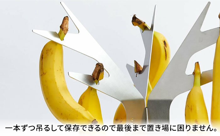 組み立て式バナナスタンド　STEN FLAME TREE 【株式会社 丸山ステンレス工業】 [ZBU013]