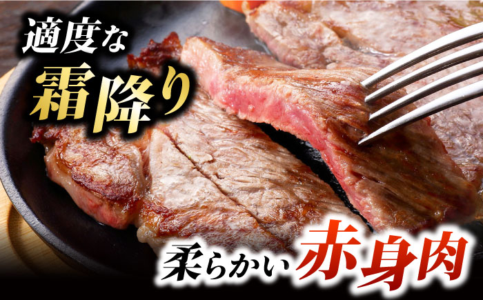 くまもとあか牛 サーロイン ステーキ ブロック肉 約1kg【有限会社スイートサプライなかぞの】 [ZBV054]