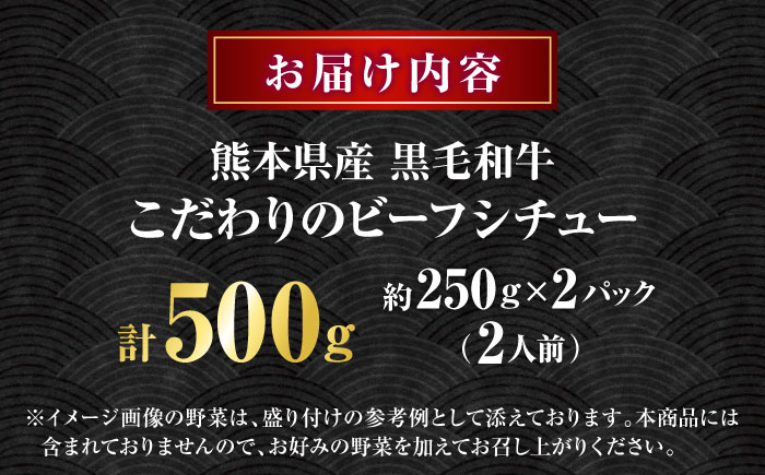 熊本県産 黒毛和牛 こだわりのビーフシチュー 計2パック （約250g×2パック） ビーフシチュー ビーフ シチュー 牛肉 肉 　【有限会社スイートサプライなかぞの】 [ZBV107]