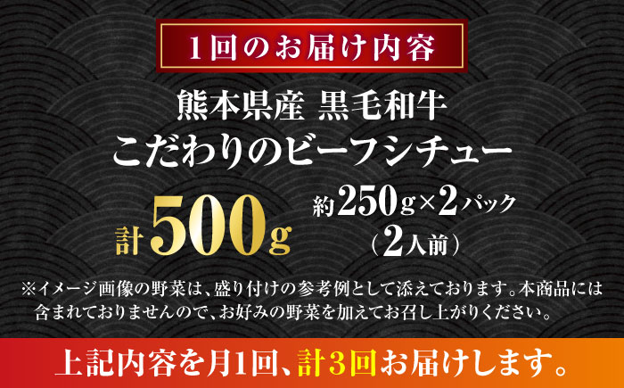 【全3回定期便】 熊本県産 黒毛和牛 こだわりのビーフシチュー 計2パック （約250g×2パック） ビーフシチュー ビーフ シチュー 牛肉 肉 　【有限会社スイートサプライなかぞの】 [ZBV108]
