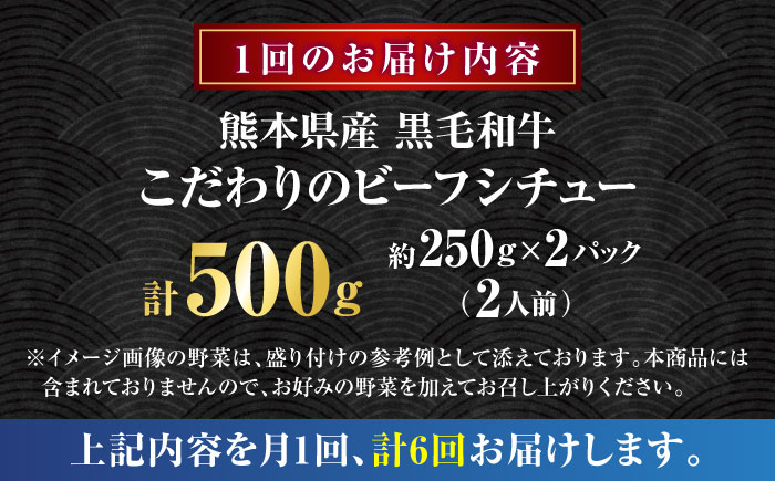 【全6回定期便】 熊本県産 黒毛和牛 こだわりのビーフシチュー 計2パック （約250g×2パック） ビーフシチュー ビーフ シチュー 牛肉 肉 　【有限会社スイートサプライなかぞの】 [ZBV109]