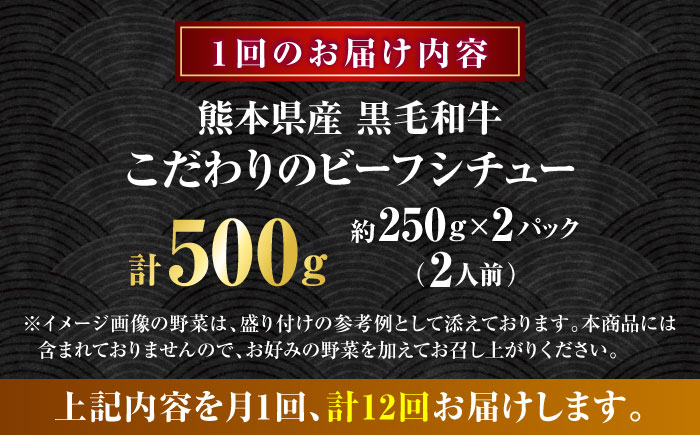 【全12回定期便】 熊本県産 黒毛和牛 こだわりのビーフシチュー 計2パック （約250g×2パック） ビーフシチュー ビーフ シチュー 牛肉 肉 　【有限会社スイートサプライなかぞの】 [ZBV110]
