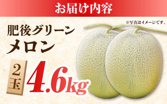 【先行予約】 肥後グリーンメロン 糖度16度以上 2玉 計約4.6kg【岡山農園】 [ZBY002]