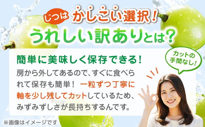 【先行予約】【2回定期便】訳あり シャインマスカット 切り落とし 約1kg  【合同会社 社方園】 定期 ぶどう 果物 訳あり 熊本 [ZBZ010]