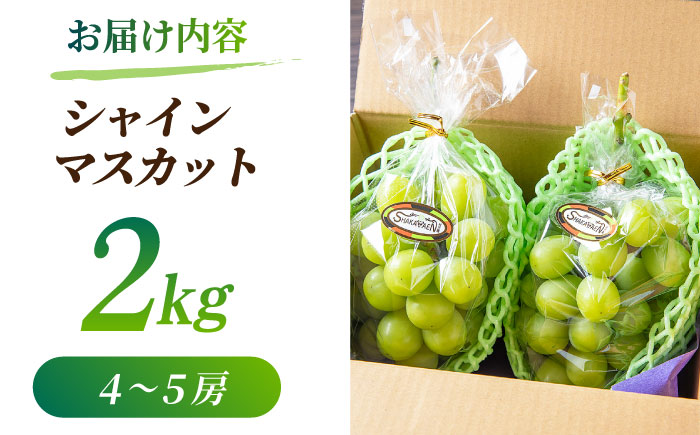 【2026年発送先行予約】 シャインマスカット 2kg(4～5房)【合同会社 社方園】 [ZBZ013]