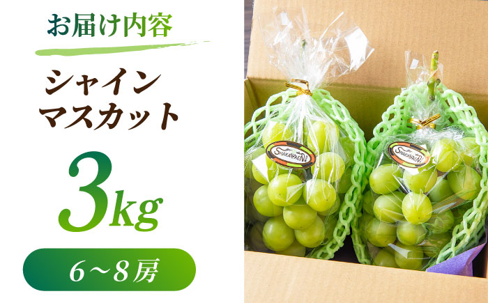 【2026年発送先行予約】シャインマスカット 3kg(6～8房)【合同会社 社方園】 [ZBZ014]