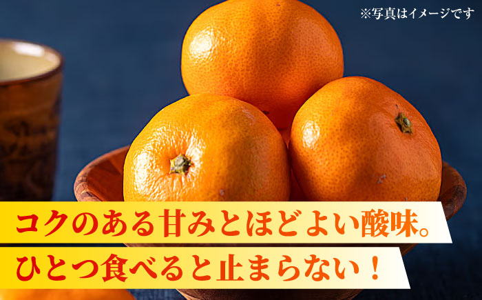 【先行予約】【年内発送は12月21日ご入金分まで！】【訳あり】家庭用 みかん 約5kg 詰め合わせ 柑橘【合同会社 社方園】 [ZBZ021]