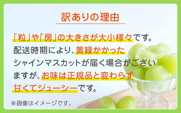 【先行予約】【訳あり】シャインマスカット 約1kg(2～3房)【合同会社 社方園】 [ZBZ028]