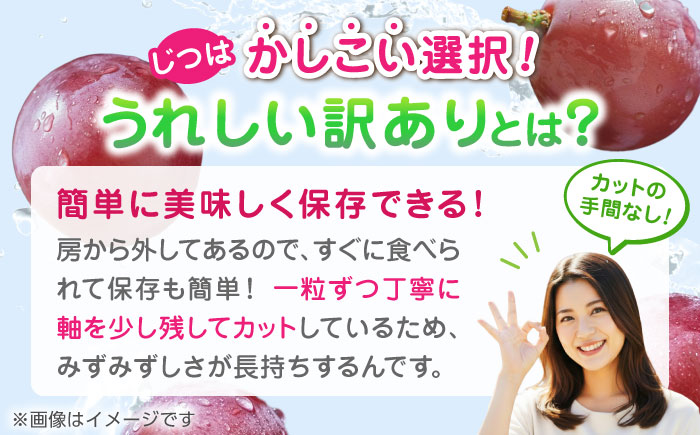 【2026年発送先行予約】【2回定期便】　訳あり クイーンニーナ ぶどう 切り落とし 約700g  【合同会社 社方園】 [ZBZ044]