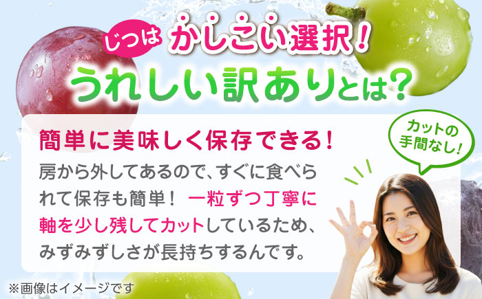 【先行予約】【3回定期便】 訳あり 毎月違うぶどうをお届け！ ぶどう3種 食べ比べ 切り落とし 約1kg  【合同会社 社方園】 [ZBZ049]
