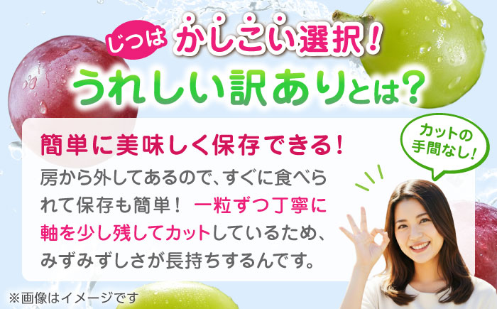【先行予約】【3回定期便】 訳あり 毎月1種類ずつお届け！ 紅白ぶどう2種 食べ比べ 切り落とし 約1kg  【合同会社 社方園】 [ZBZ051]