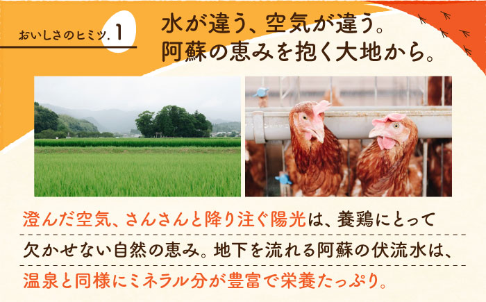 【全12回定期便】 【化粧箱入り】赤たまご M玉 40個 (37個＋割れ保証3個)【農事組合法人 鹿本養鶏組合】 [ZCA005]