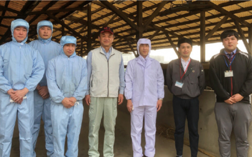 和王 ロース ステーキ 約500g【マイライフホールディングス 株式会社 】 [ZCF008]