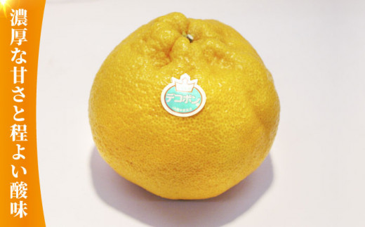 【先行予約】デコポン 約2kg【かきやま果実】 フルーツ 果物 でこぽん 熊本県 柑橘  [ZCJ001]