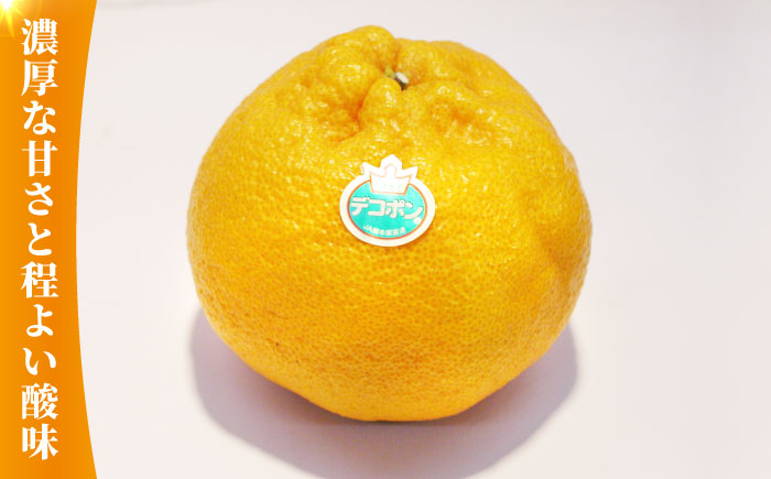 【先行予約】デコポン 約3kg 化粧箱入り【かきやま果実】フルーツ 果物 でこぽん 熊本県 [ZCJ002]