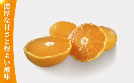 みかん 約10kg【かきやま果実】 [ZCJ005]