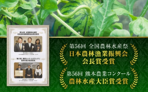 【先行予約】大玉 すいか LLサイズ【株式会社 前田ファーム】 [ZCM002]