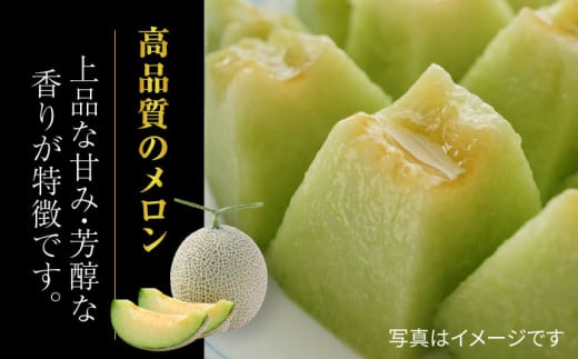 【先行予約】黒小玉 スイカ と アールスメロン セット 【株式会社 前田ファーム】 [ZCM003]