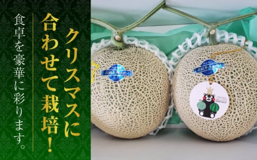 年内発送 クリスマスメロン セット【株式会社 前田ファーム】 [ZCM004]