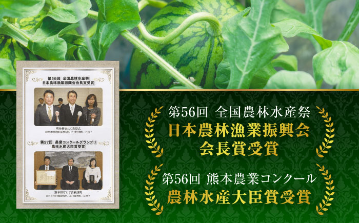 【先行予約】小玉スイカ ひとりじめ 4玉 2Lサイズ 【株式会社 前田ファーム】 [ZCM012]