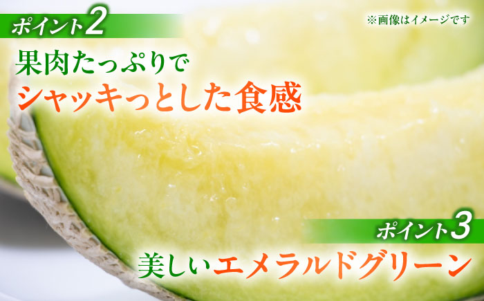 【先行予約】 肥後グリーン メロン 2玉【合同会社 福福堂】 [ZCN003]