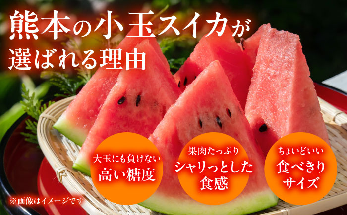 【先行予約】 肥後グリーン メロン 1玉＆小玉 すいか 1玉【合同会社 福福堂】 [ZCN004]