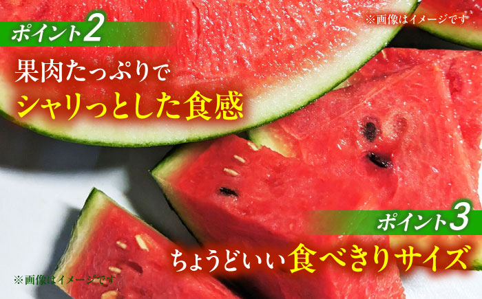 【先行予約】 小玉 すいか 2玉【合同会社 福福堂】 [ZCN005]