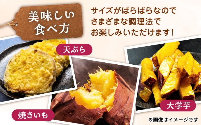 【年内発送は12月21日ご入金分まで！】 さつまいも 紅はるか or シルクスイート 蜜芋 5kg【合同会社 福福堂】 [ZCN013]