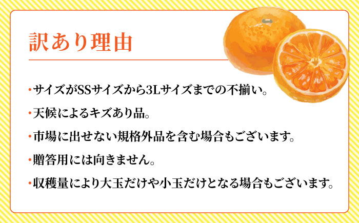 【年内発送は12月21日ご入金分まで！】【訳あり】家庭用 温州 みかん 約4.5kg～5kg【合同会社 福福堂】 [ZCN014]