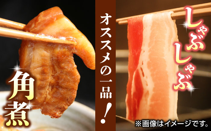 豚帝  豚バラ ブロック 約1kg【KRAZY MEAT(小田畜産)】 [ZCP017]