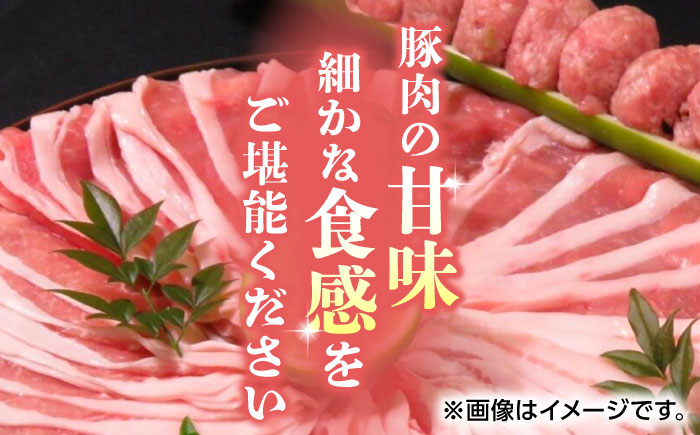 【3回定期便】豚帝 豚ロース スライス 1200g（300g×4pc）【KRAZY MEAT(小田畜産)】 [ZCP054]