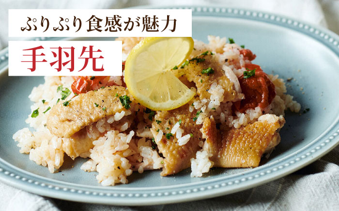 【6回定期便】赤鶏の手羽先 2kg【日本一鶏肉研究所 株式会社 】 [ZCU089]