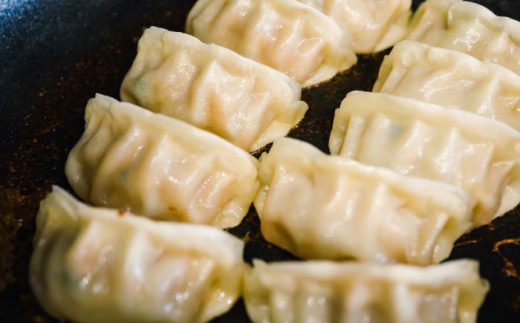 プレミアムにんにく餃子【株式会社 九州ファーム】 [ZCV001]