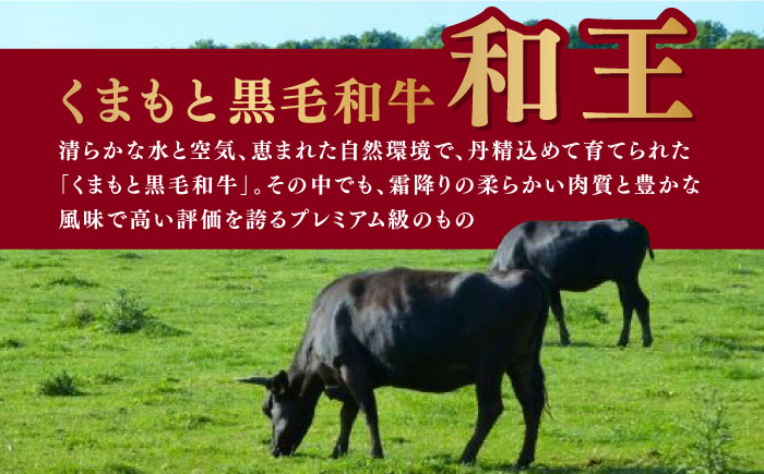 【訳あり】 和王 赤身 こま切れ 800g【株式会社ワンエイト】 [ZDA017]