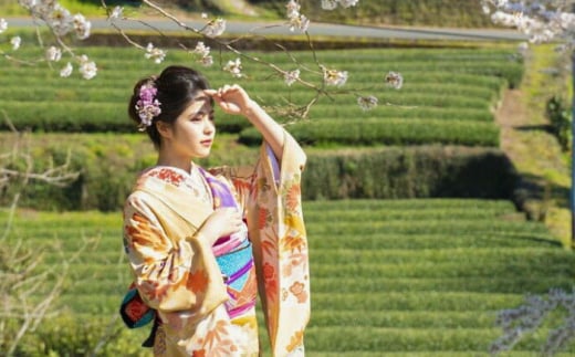 ヘアメイク着付け・アルバム込み！国指定重要文化財「八千代座」成人式前撮り【アンティーク着物レンタルの柏屋】 [ZDB002]