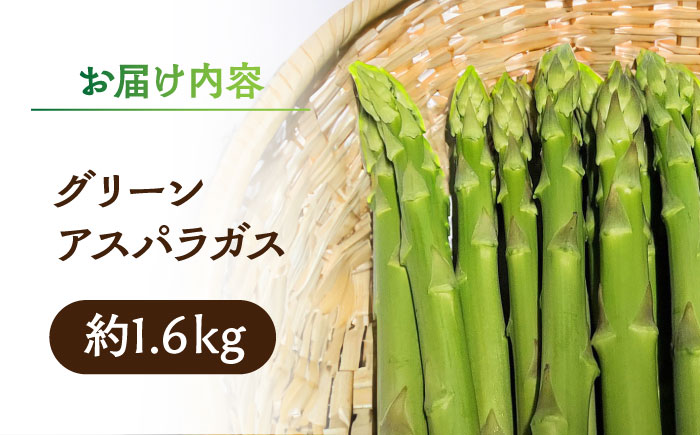 【先行予約】グリーン アスパラガス 約 1.6kg【中川 誠一】 [ZDM001]