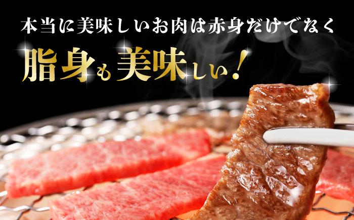 【3回定期便】熊本県産 黒毛和牛 焼肉用 食べ比べ セット 約900g【九州食肉産業】 国産 カルビ ロース A4 A5  [ZDQ059]
