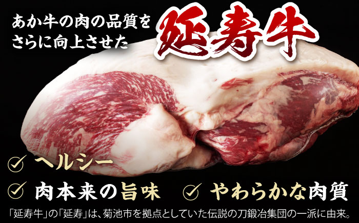 【12回定期便】熊本県産 延寿牛 あか牛 モモ ブロック 約 500g【有限会社 九州食肉産業】 [ZDQ135]