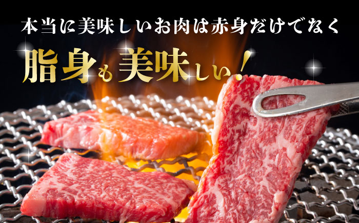 熊本県産 黒毛和牛 ロース・カルビ焼肉用 食べ比べ 約600g(各約300g)【有限会社 九州食肉産業】 [ZDQ155]