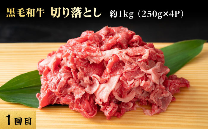 【3回定期便】熊本県産 黒毛和牛【有限会社 九州食肉産業】 [ZDQ168]