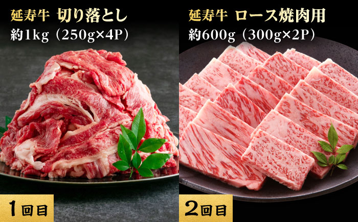 【6回定期便】熊本県産 あか牛『延寿牛』 食べ比べ【有限会社 九州食肉産業】 [ZDQ169]
