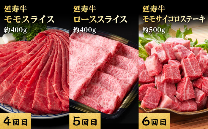 【12回定期便】熊本県産 あか牛『延寿牛』 贅沢食べ比べ【有限会社 九州食肉産業】 [ZDQ170]
