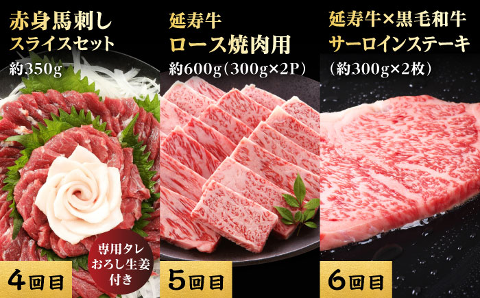 【12回定期便】熊本県産 黒毛和牛 あか牛 馬刺し 豪華食べ比べ【有限会社 九州食肉産業】 [ZDQ173]