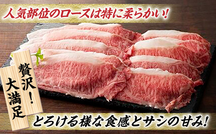 【3回定期便】九州産 藤彩牛 ロース すき焼き しゃぶしゃぶ用 1644 [ZDT036]