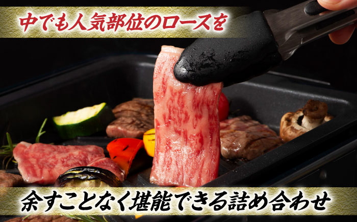 【3回定期便】九州産 藤彩牛 ロース 三昧セット 3607 [ZDT039]