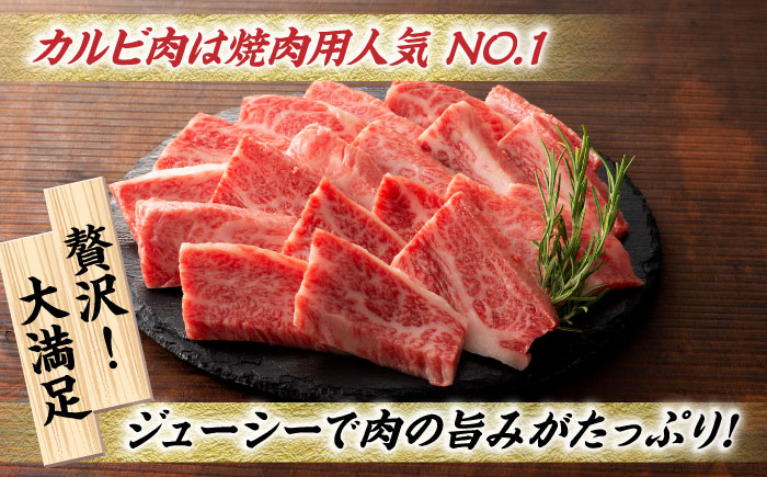 【12回定期便】九州産 藤彩牛 バラ カルビ 焼肉用 1650 [ZDT083]