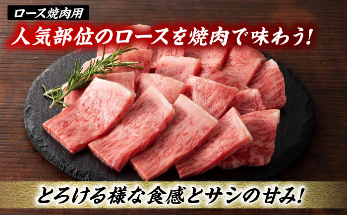 【3回定期便】くまもと黒毛和牛「藤彩牛」厳選3種の食べ比べ計700g 3902【有限会社 スイートサプライなかぞの】 [ZDT135]