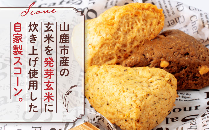 【全3回定期便】山鹿の恵み香り豊かなスコーンセット（3種類×2個）【BANBA BON BONS】 [ZDW006]