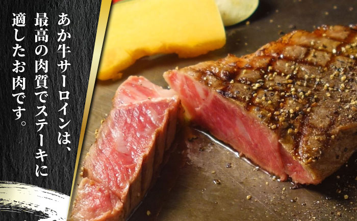 【全6回定期便】あか牛 極上 ヒレ ＆ サーロイン ステーキ セット あか牛のたれ付き【有限会社 三協畜産】 [ZEB076]